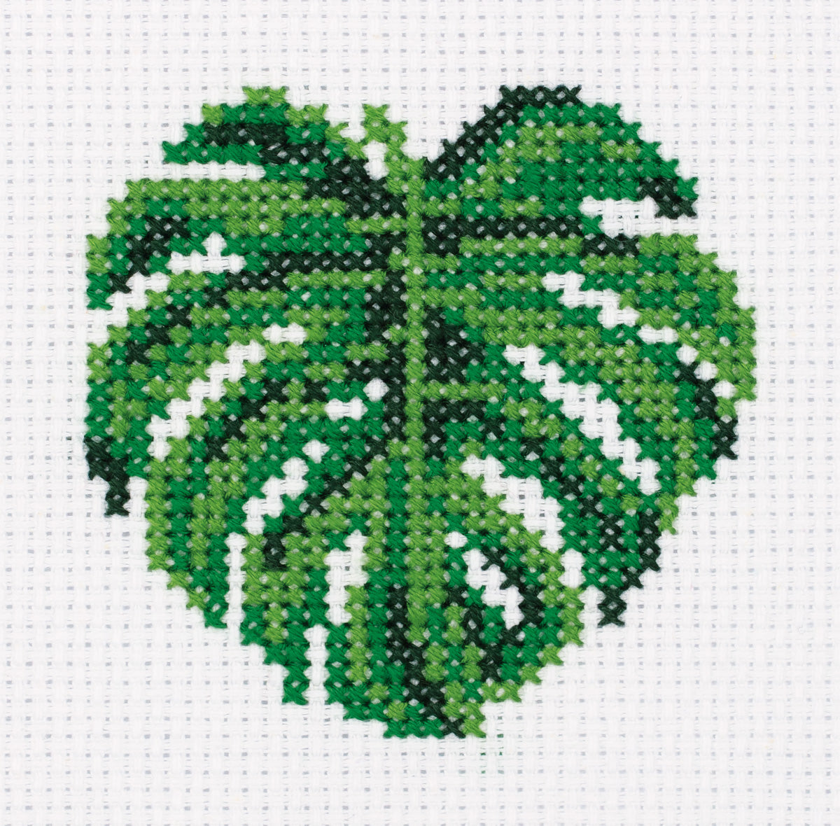 Monstera Embroidery - TimeToCraft