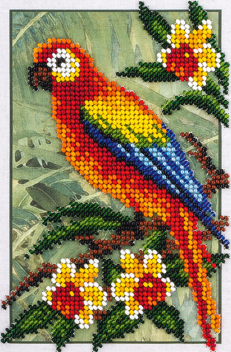 Macaw Embroidery - TimeToCraft