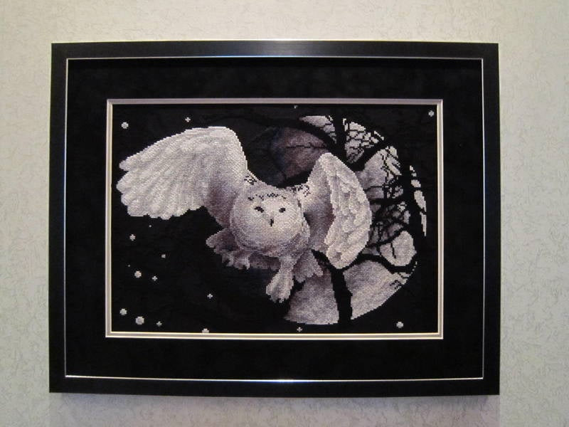 Counted Cross Stitch Kit - White Owl - J-0359 - TimeToCraft
