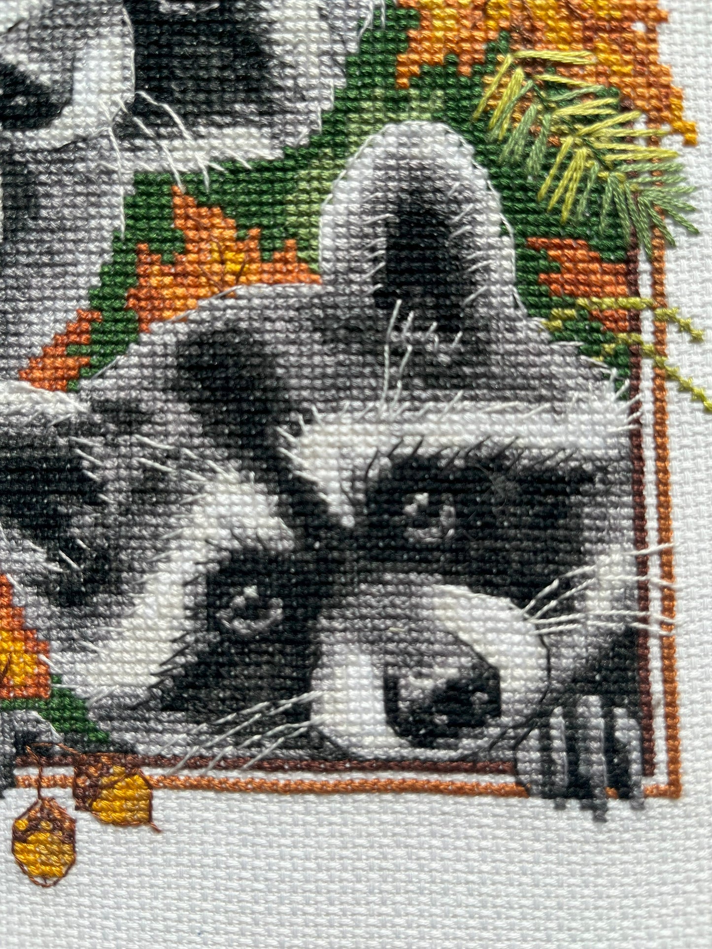 Counted Cross Stitch Kit - Curious Raccoons - TimeToCraft