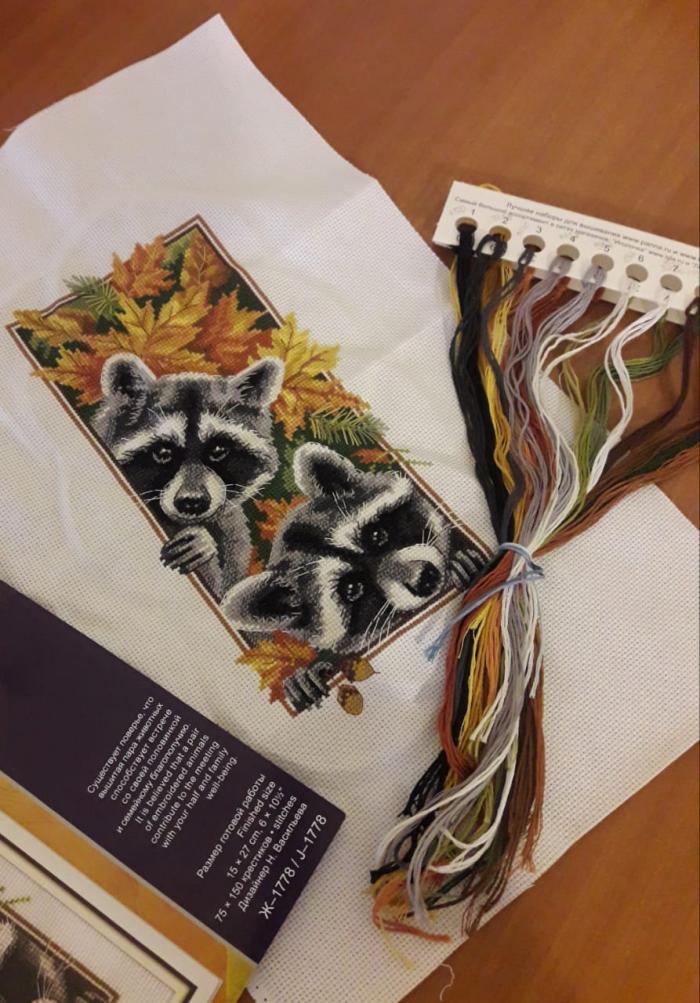 Counted Cross Stitch Kit - Curious Raccoons - TimeToCraft