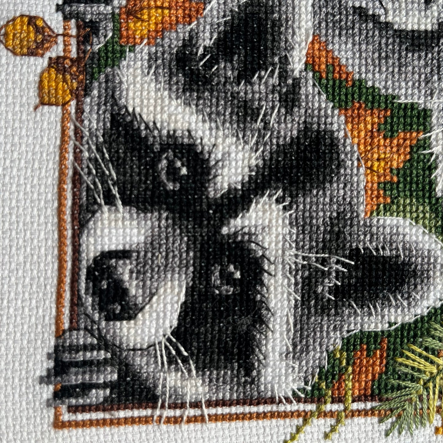 Counted Cross Stitch Kit - Curious Raccoons - TimeToCraft