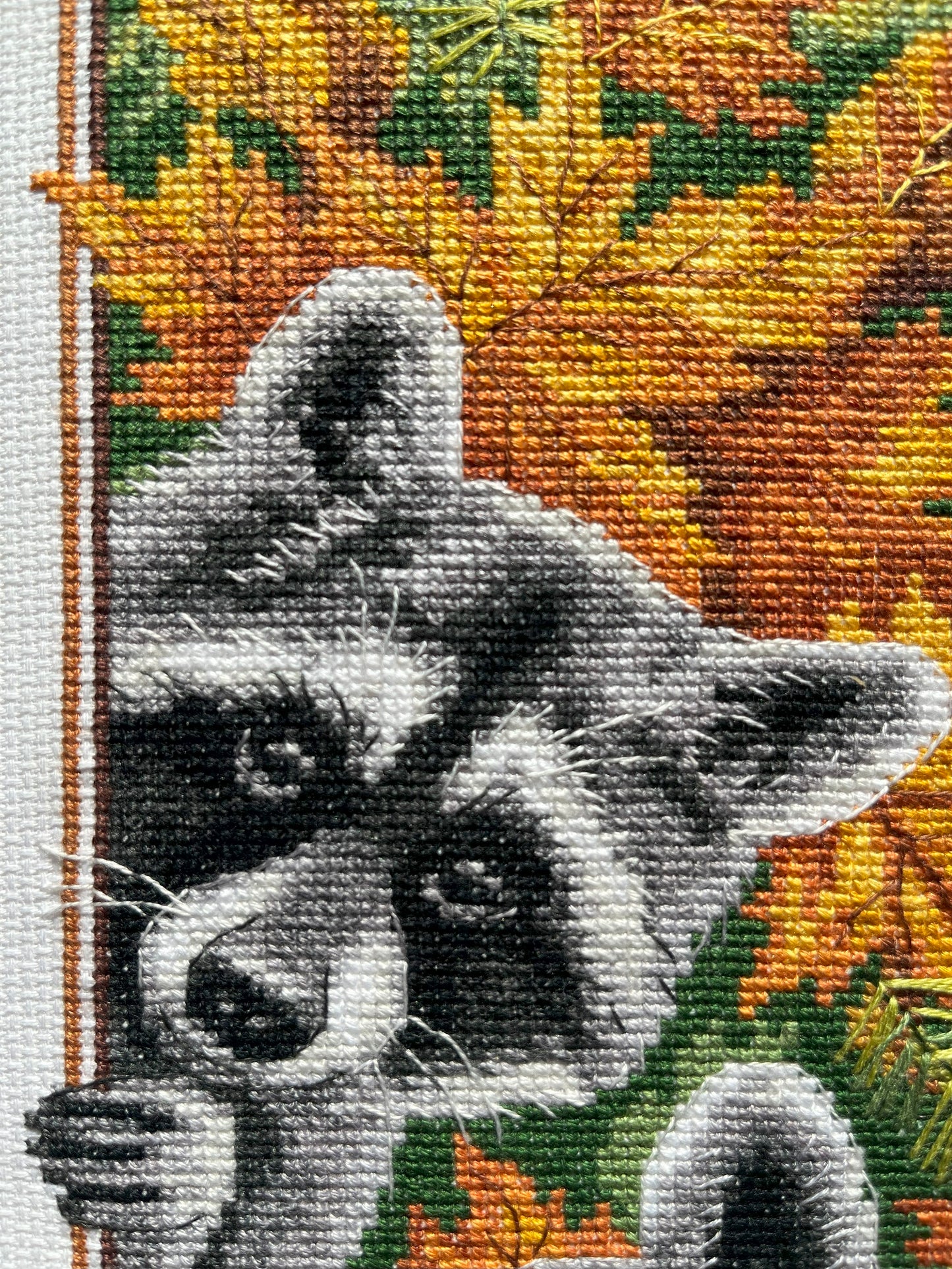 Counted Cross Stitch Kit - Curious Raccoons - TimeToCraft
