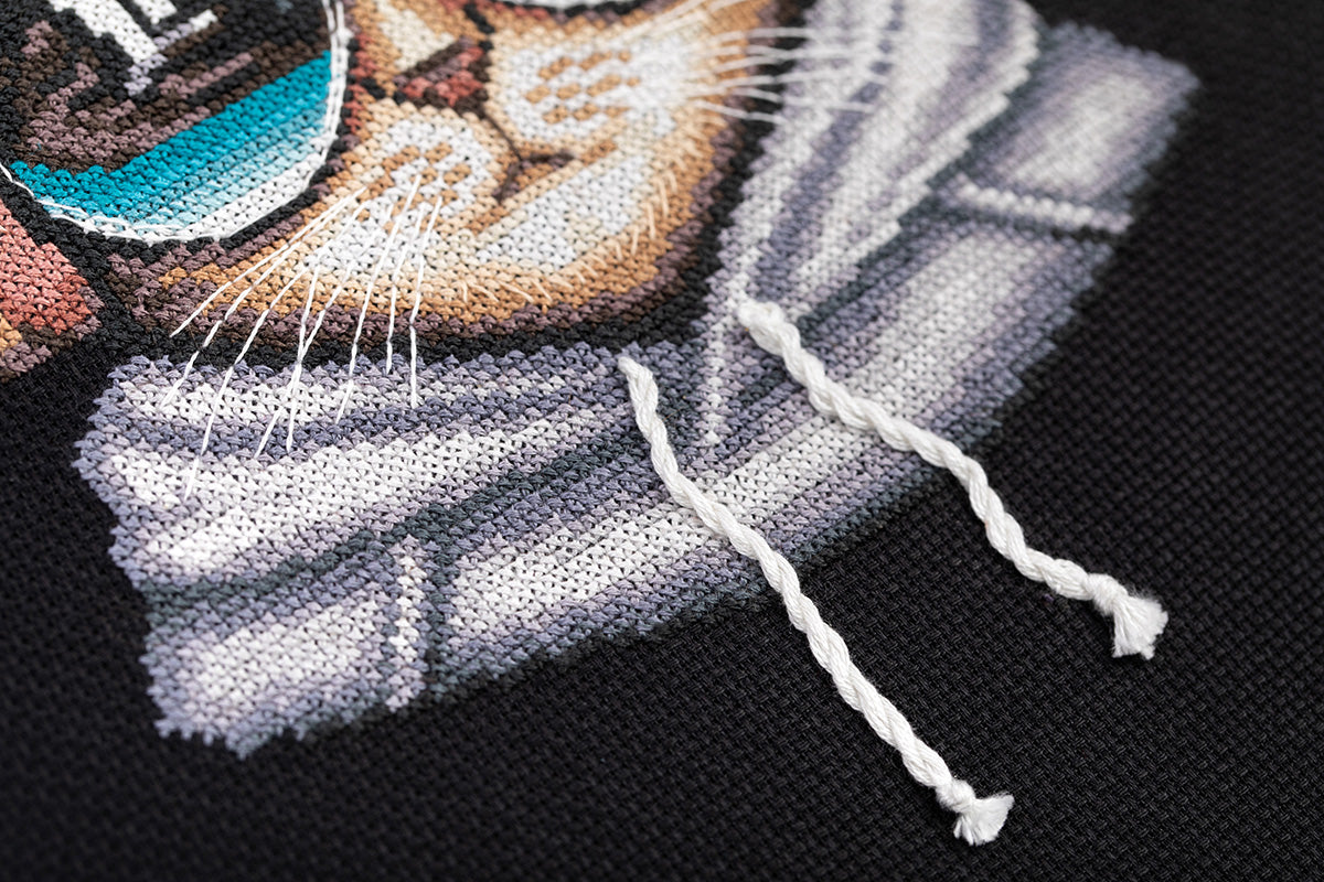 Panna counted cross stitch kit "Stanley music Lover" - TimeToCraft